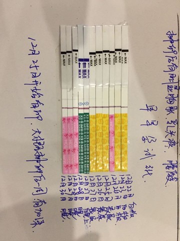 journal_insert_pic_376171404