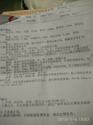 journal_insert_pic_379729830