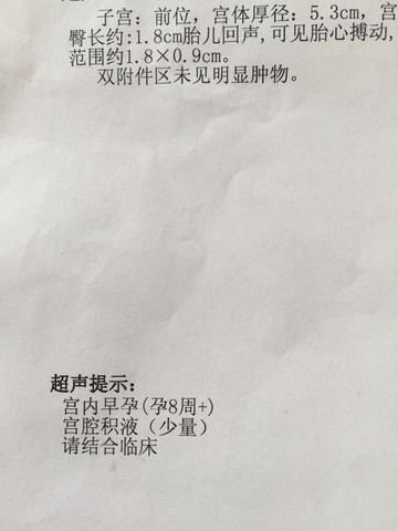 journal_insert_pic_379632422