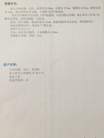journal_insert_pic_379588186