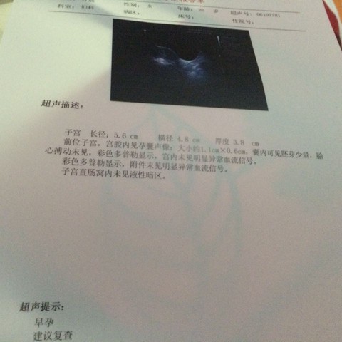 journal_insert_pic_381002405