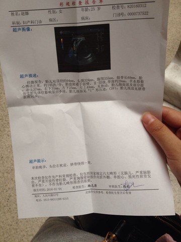 journal_insert_pic_380768481