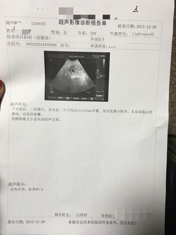 journal_insert_pic_382252320