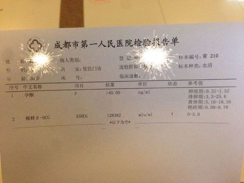 journal_insert_pic_384016393