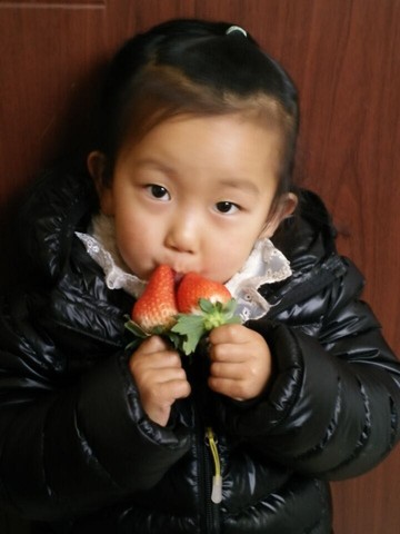 journal_insert_pic_384171182
