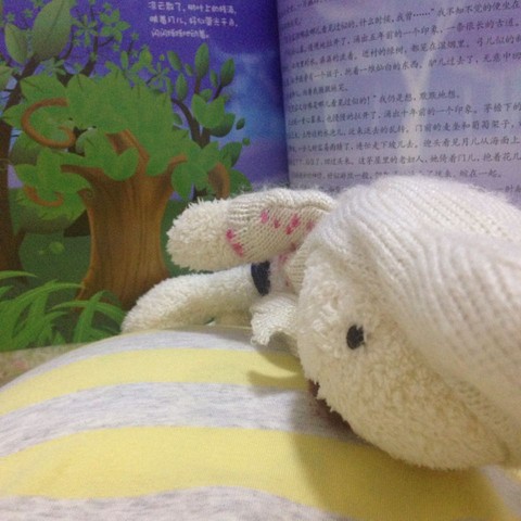journal_insert_pic_384492162