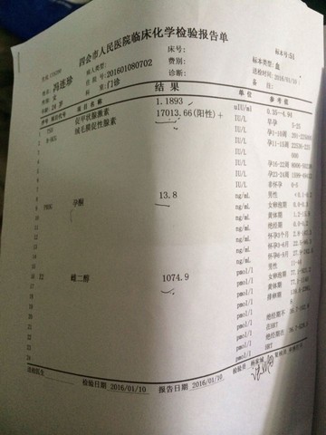 journal_insert_pic_385417010
