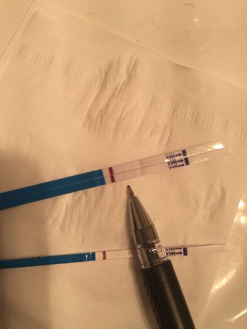 journal_insert_pic_385752096