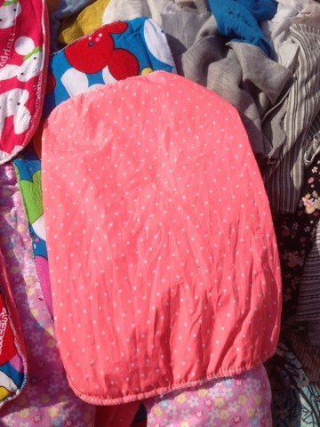 journal_insert_pic_387063122