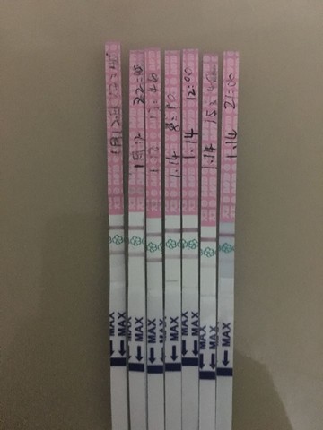 journal_insert_pic_388081219