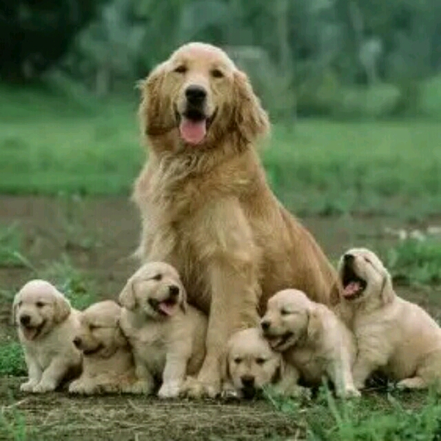 我的乖乖宝贝61