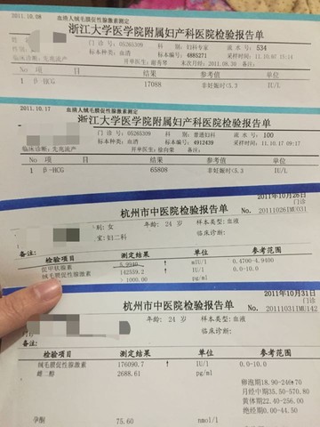 journal_insert_pic_387933149