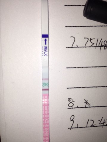 journal_insert_pic_388261856
