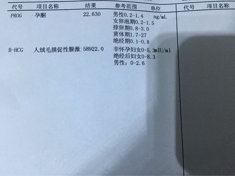 journal_insert_pic_391018123