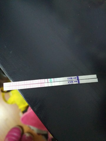 journal_insert_pic_390707976