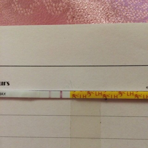 journal_insert_pic_391685401