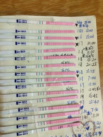 journal_insert_pic_392401281
