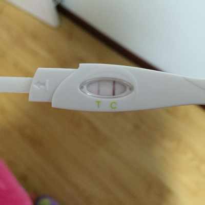 孕纸测试怀孕显示图图片