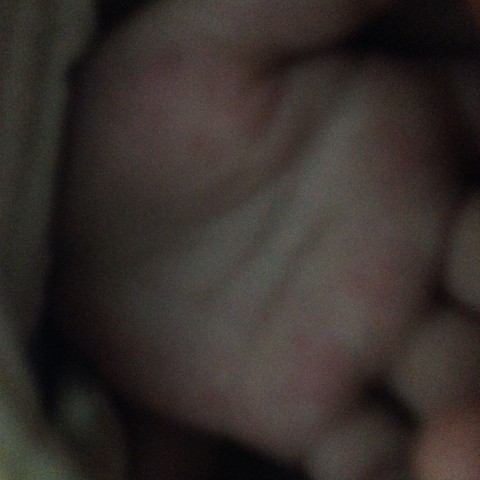 journal_insert_pic_392844132