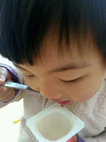 journal_insert_pic_393316022