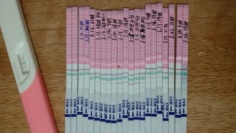 journal_insert_pic_394794268