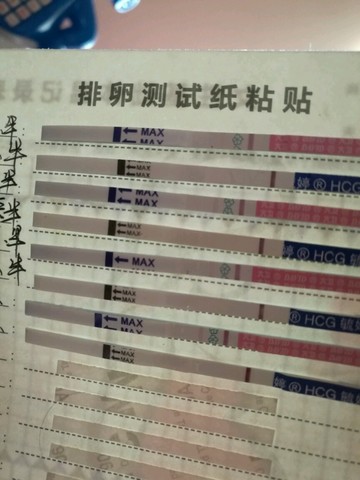 journal_insert_pic_395177801