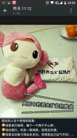 journal_insert_pic_395628635