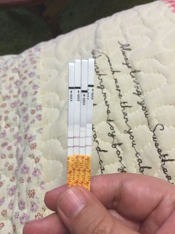 journal_insert_pic_395926464