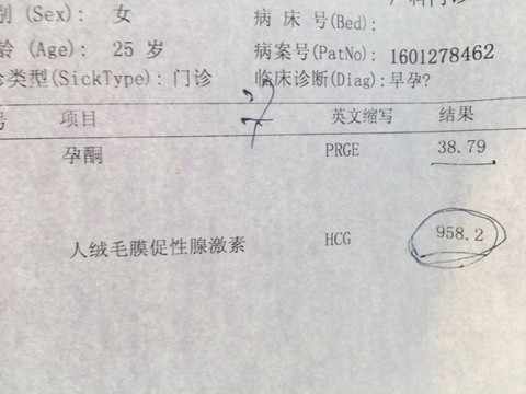 journal_insert_pic_396431420