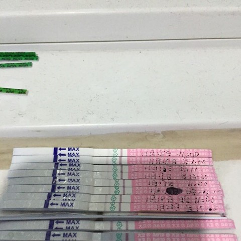 journal_insert_pic_396652043
