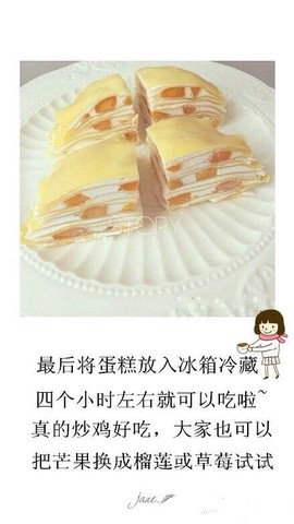 journal_insert_pic_396363472