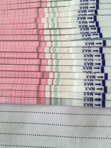 journal_insert_pic_396385671