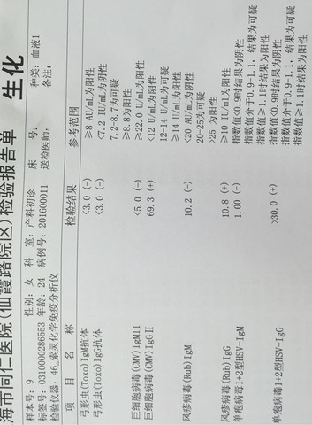 journal_insert_pic_397630941