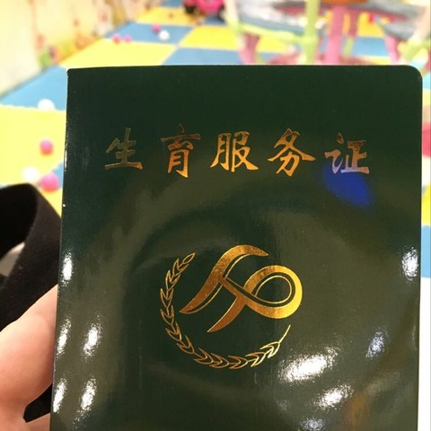 journal_insert_pic_398573477