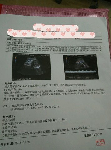 journal_insert_pic_398766208