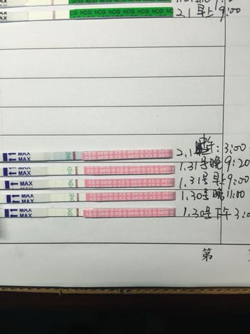 journal_insert_pic_398585095