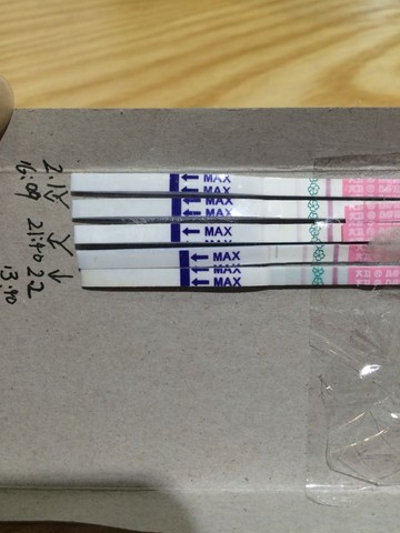 journal_insert_pic_399064029