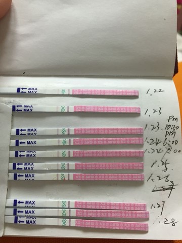 journal_insert_pic_399984837