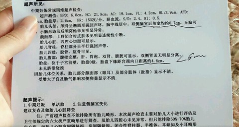 journal_insert_pic_400140404