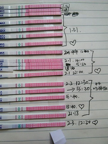 journal_insert_pic_399750881