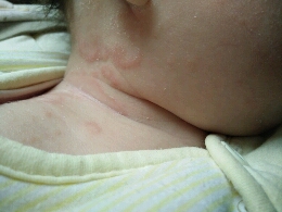 journal_insert_pic_400450548