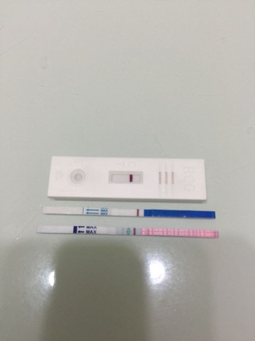 journal_insert_pic_400646735