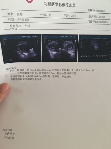 journal_insert_pic_401023169