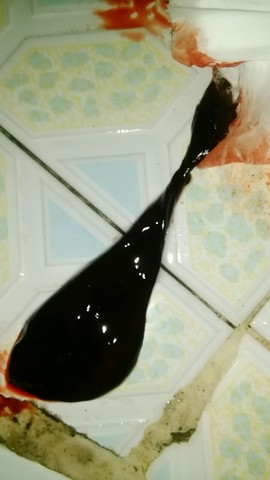 journal_insert_pic_402388229