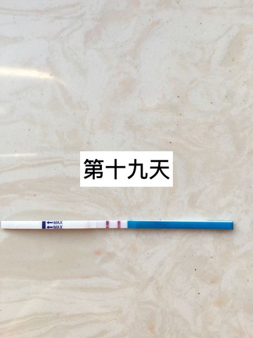 journal_insert_pic_402673610