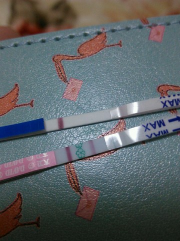 journal_insert_pic_404660062