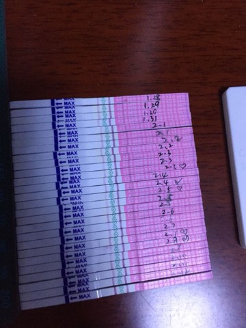journal_insert_pic_405229963