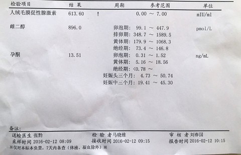 journal_insert_pic_405587038