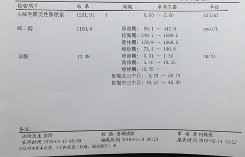 journal_insert_pic_405587069