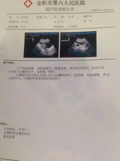 journal_insert_pic_406690602